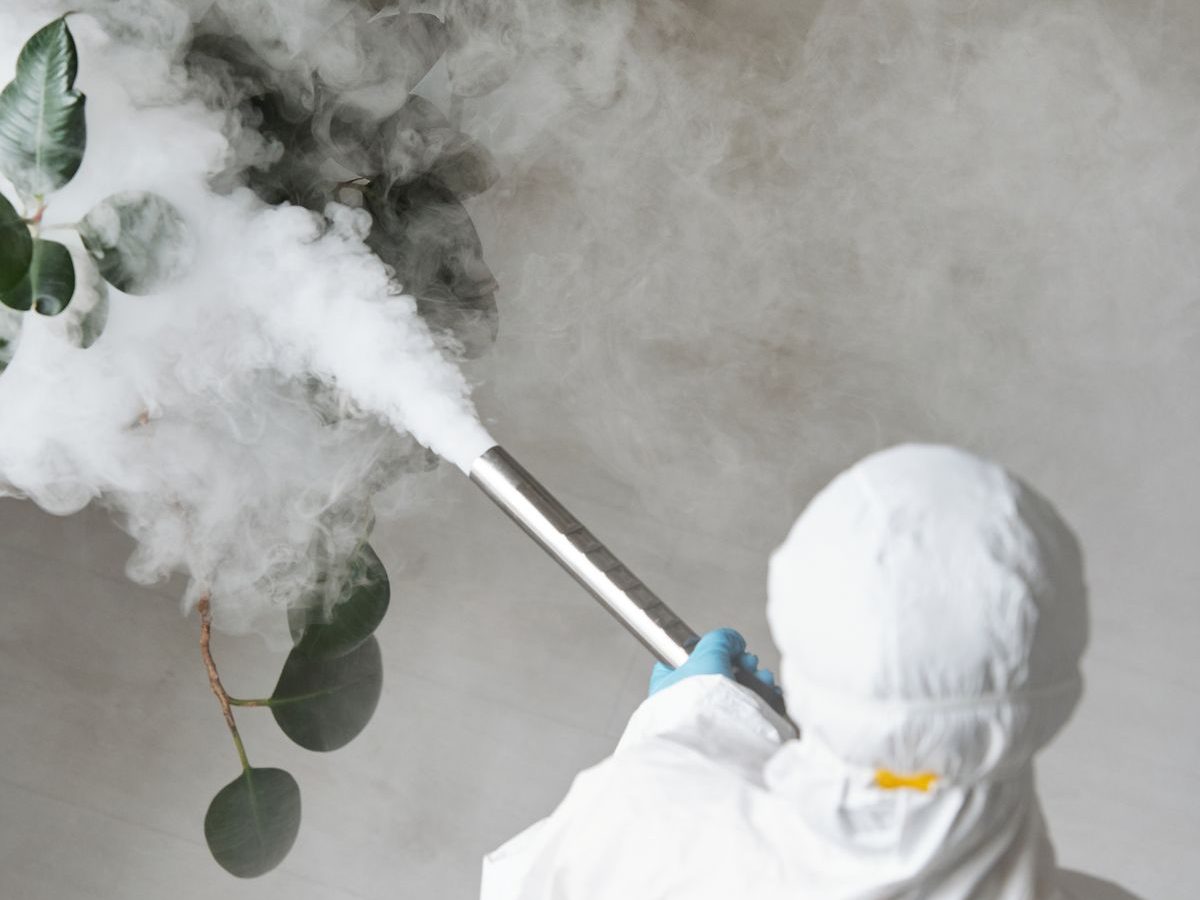 Technician applying treatment indoors
