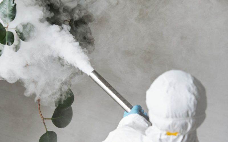 Technician applying treatment indoors